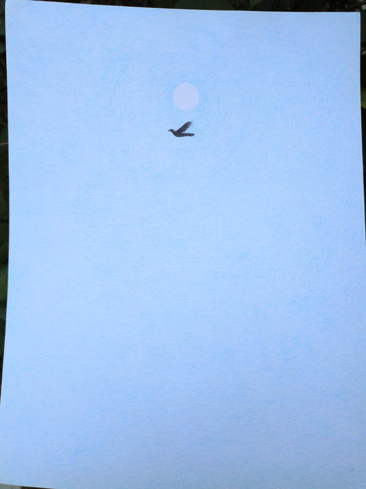 sky, moon + bird
