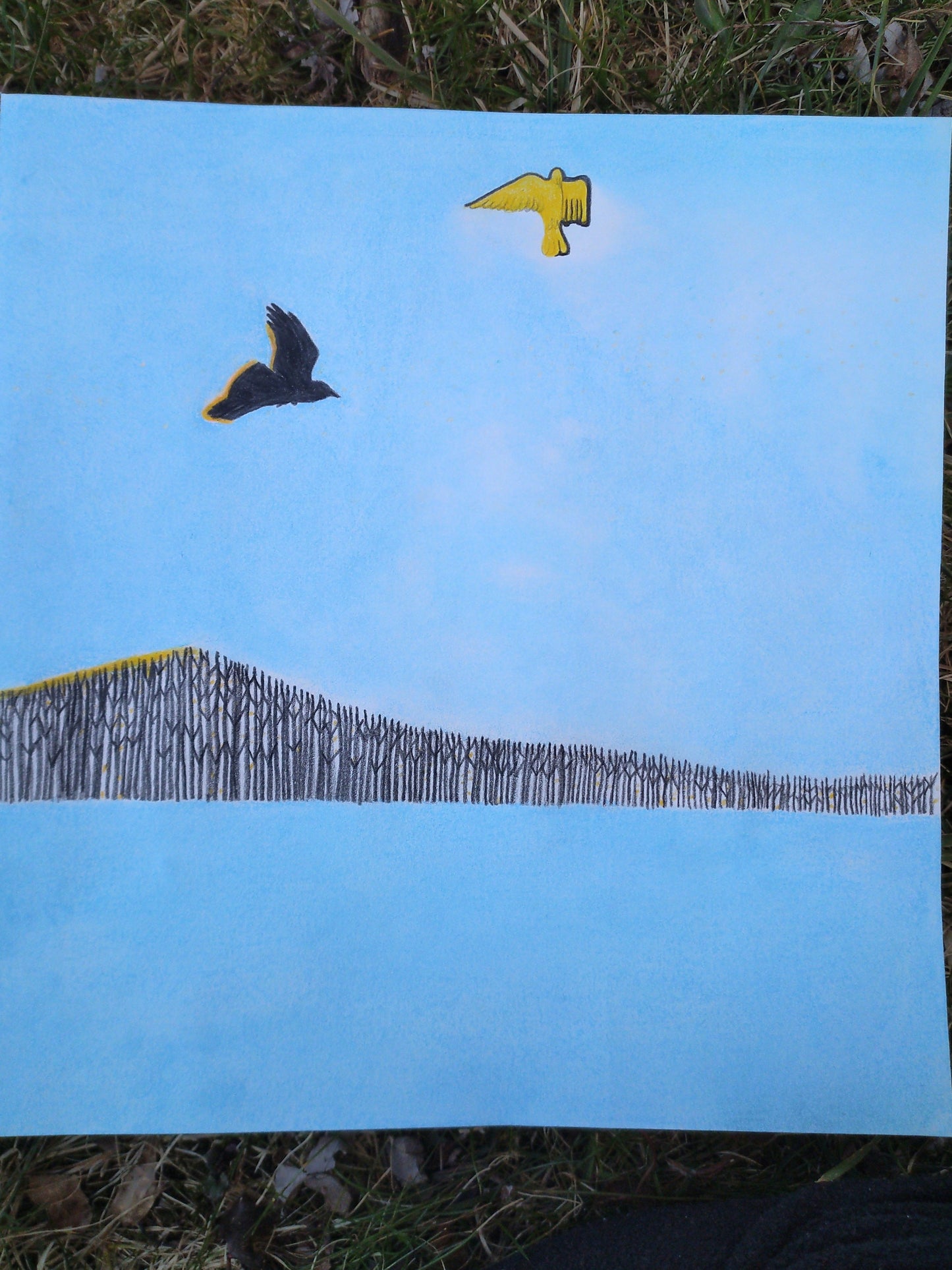 I loved the way the birds are, no, seem friends.